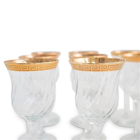 versace crystal glasses.